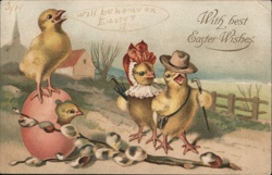 Easter Chicks Dressed Up Postcard Postcard Postcard