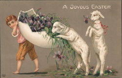 Boy with Violets, Lambs & Giant Easter Egg - Vintage Easter Postcard With Lambs Postcard Postcard