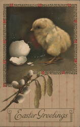 Fluffy Yellow Chick Hatching, Easter Greetings Postcard With Chicks Postcard Postcard