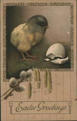 Baby Chick Hatching Easter Greetings Postcard, Germany With Chicks Postcard Postcard