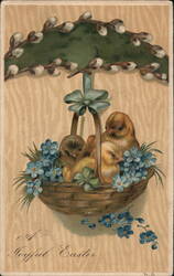 Three Chicks in a Basket Under Pussy Willow Umbrella - Easter Greeting Postcard