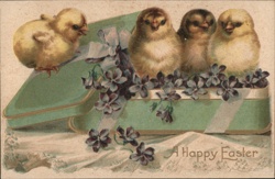 Happy Easter Chicks in Green Box with Violets Postcard Postcard