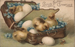 Baby Chicks & Eggs in Suitcase - Easter Greeting - Vintage Postcard With Chicks Postcard Postcard