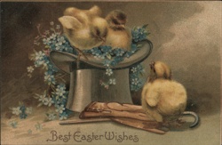 Easter Chicks in Top Hat with Forget-Me-Nots Postcard Postcard Postcard