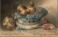 Easter Chicks in Sailor Hat with Forget-Me-Nots Postcard