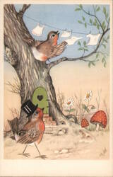 Whimsical Robins & Tiny Clothesline: Vintage Illustrated Postcard Postcard