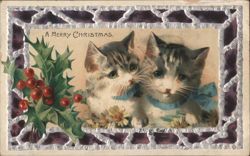 Two Kittens with Blue Bows and Holly Berries: A Merry Christmas Postcard