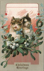 Two Kittens with Holly and Mistletoe - Christmas Greetings Cats Postcard Postcard Postcard