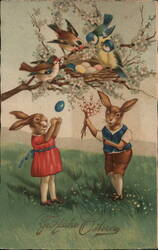 Anthropomorphic Easter Bunnies with Egg and Pussy Willow With Bunnies Postcard Postcard Postcard