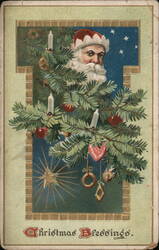 Santa Claus Peeking Through Christmas Tree Branches Postcard