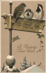 Three Birds Perched on Signpost, Happy New Year Greeting Postcard Postcard Postcard