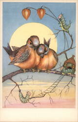 Dressed Birds and Caterpillars Under the Moonlight Postcard Postcard Postcard