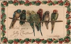 Six Colorful Parrots on a Branch, Jolly Christmas Greeting Birds Postcard Postcard Postcard