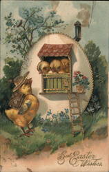 Three Baby Chicks in Birdhouse, One Chick with Hat and Knapsack Postcard