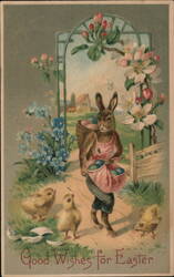 Easter Bunny with Basket and Eggs, Chicks, and Blossoms With Bunnies Postcard Postcard Postcard