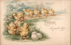 Easter Chicks and Eggs With Chicks Postcard Postcard Postcard