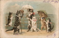 Charming Cats with Parasols at the Seaside Postcard Postcard Postcard