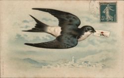 Swallow Carrying Love Letter Over Village Postcard