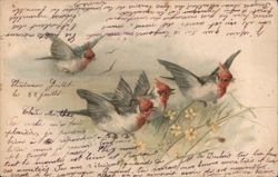 Trio of Red-Crested Birds in Flight Postcard Postcard Postcard