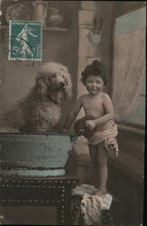 Child Bathing a Poodle in a Basin Children Postcard Postcard Postcard