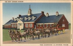 Genesee 12-Horse Team, New Genesee Stables, Rochester, NY Postcard