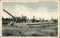 Threshing Rice Near Crowley, Louisiana Postcard Postcard Postcard