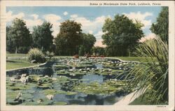 Scene in Mackenzie State Park, Lubbock, Texas Postcard