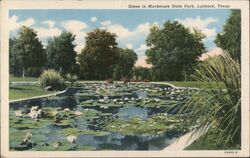 Scene in Mackenzie State Park, Lubbock, Texas Postcard