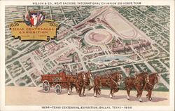 Wilson & Co. Six-Horse Team, Texas Centennial Exposition, Dallas Postcard