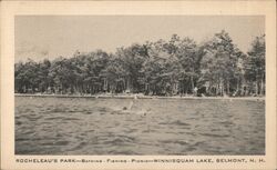 Rocheleau's Park, Winnisquam Lake, Belmont, NH Postcard