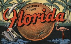 Greetings from Florida, Large Orange, Pelican, Flamingo, Fish Postcard