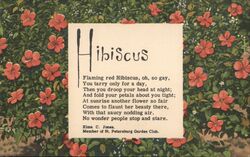 Hibiscus Poem, Red Flowers Linen Postcard Postcard