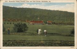 Shamokin Valley Country Club and Golf Course Postcard