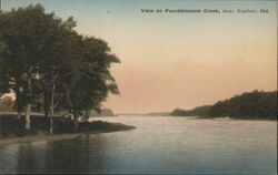 View on Peachblossom Creek near Easton, MD Maryland Postcard Postcard Postcard