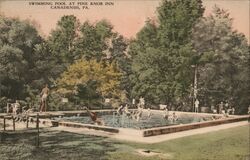 Swimming Pool at Pine Knob Inn, Canadensis, PA Pennsylvania Postcard Postcard Postcard