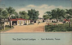 The Oak Tourist Lodges - San Antonio, Texas Postcard Postcard Postcard