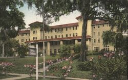 Hotel Alabama, Winter Park, Florida Linen Postcard Postcard