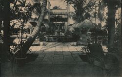 The Patio, Brazilian Court Hotel, Palm Beach, Florida Postcard Postcard Postcard