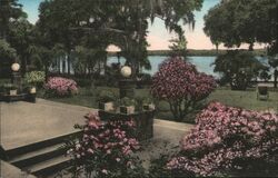 Hotel Alabama View from Lakeside Veranda, Winter Park, FL Florida Postcard Postcard Postcard