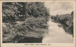 Bear Creek Near Merced, California Postcard Postcard Postcard