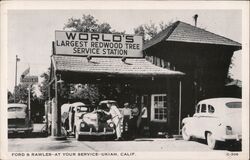 World's Largest Redwood Tree Service Station, Ukiah CA Postcard