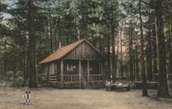 Rustic Log Cabin, Loch Lomond Resort, Lake County, CA Postcard