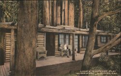 Lane's Redwood Flat on Redwood Highway, CA Postcard