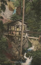 Abandoned Cabin on Redwood Flat, CA Piercy, CA Postcard Postcard Postcard