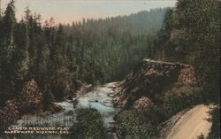 Lane's Redwood Flat, Redwood Highway, CA Postcard