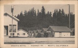 Sequoia Motel, Highway 101, Weott, California Postcard