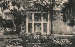 Auburn, Natchez, MS - Linen Postcard Postcard