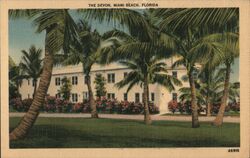 The Devon, Miami Beach, Florida Postcard Postcard Postcard