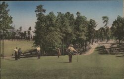 Pinehurst No. 1 Course 6th Green, 8th & 7th Holes North Carolina Postcard Postcard Postcard