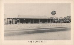 The Olive Oasis, Highway 99W Corning CA Postcard